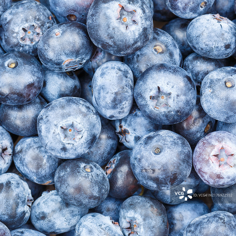 蓝莓浆果水果背景图片素材
