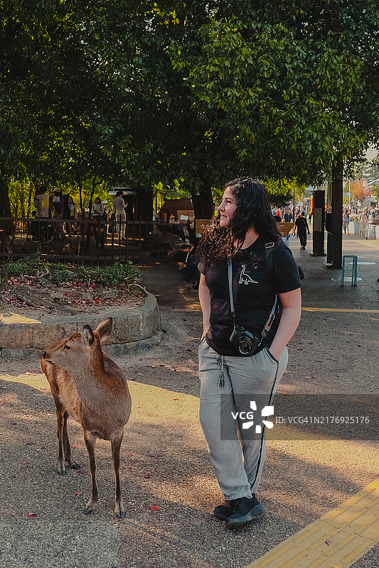 中年游客站在日本奈良市的鹿旁边图片素材