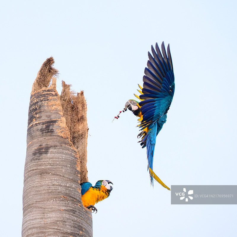 欢迎回来图片素材