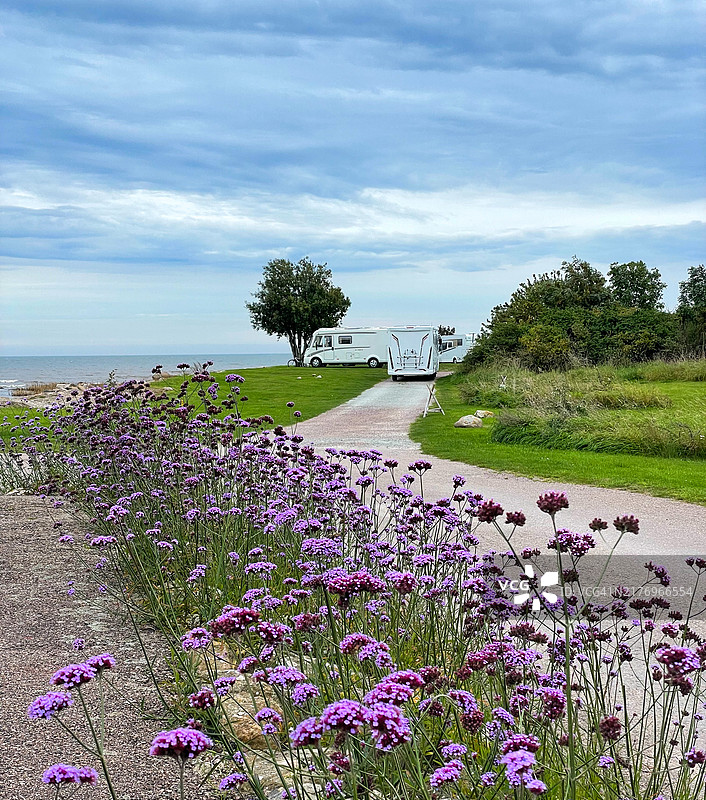 道路和草坪前的丁香花与白色房车图片素材