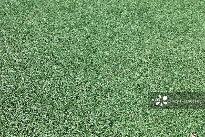 人造草坪全画幅图片素材