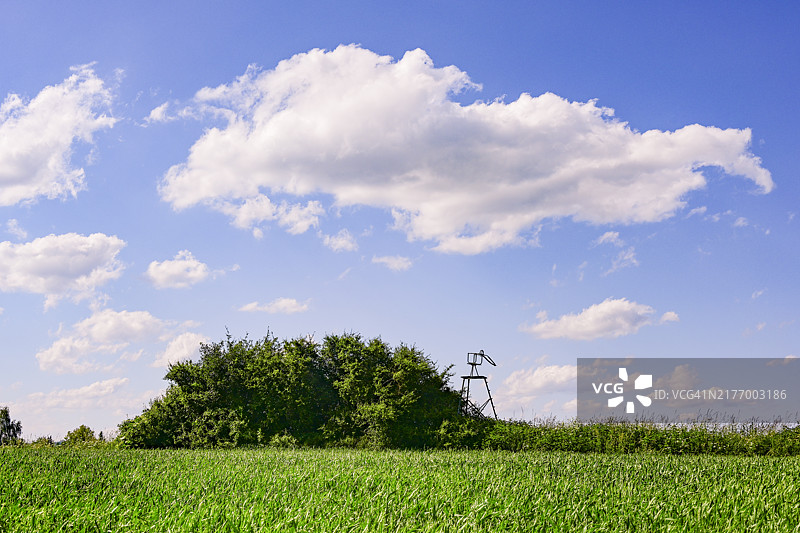 农业田地里的抽象狩猎场所图片素材