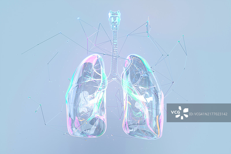有机结构肺部图片素材