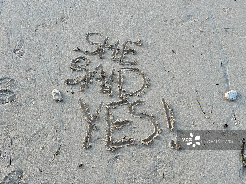 她说愿意！图片素材