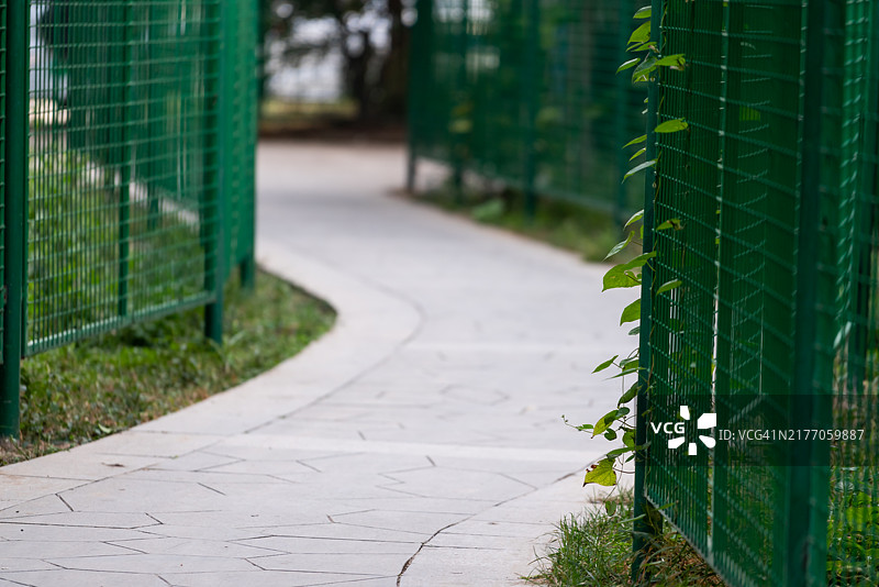 公园里蜿蜒的小路图片素材