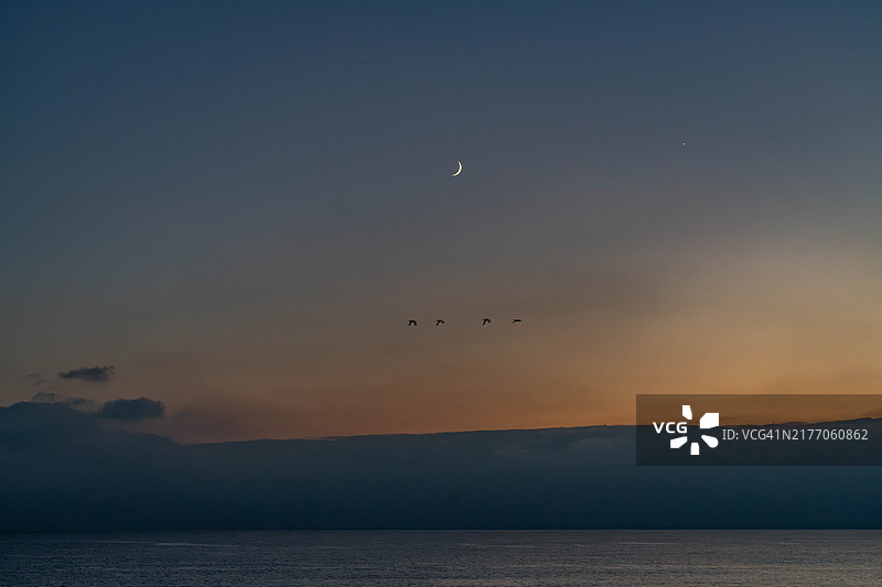 中国钓鱼岛海滩日落时飞翔的鸬鹚和月亮图片素材