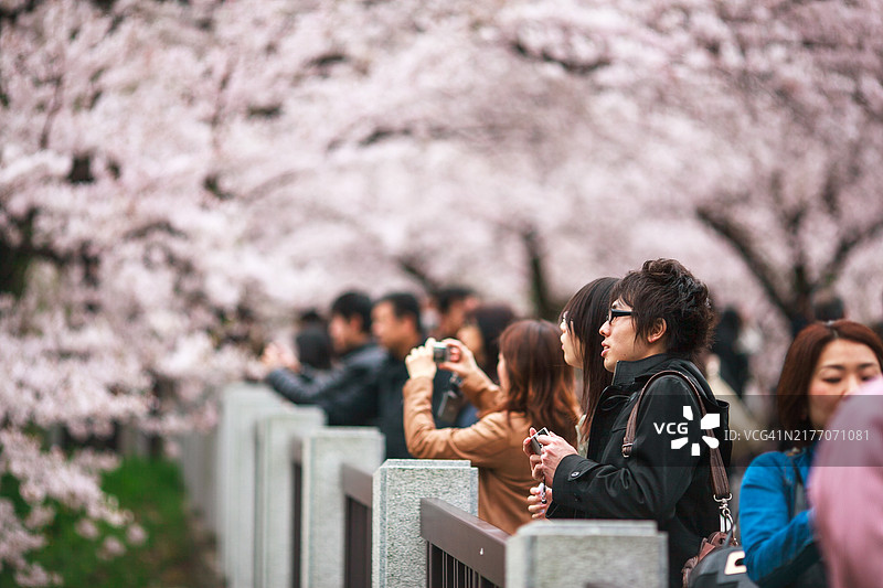四月东京景色图片素材