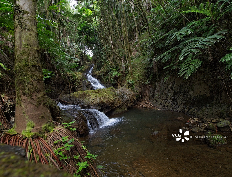 夏威夷荒野图片素材