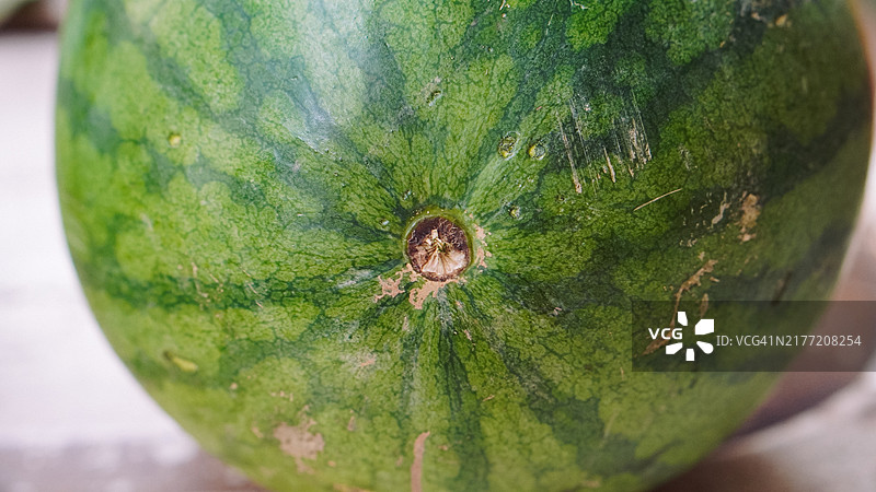 西瓜特写图片素材