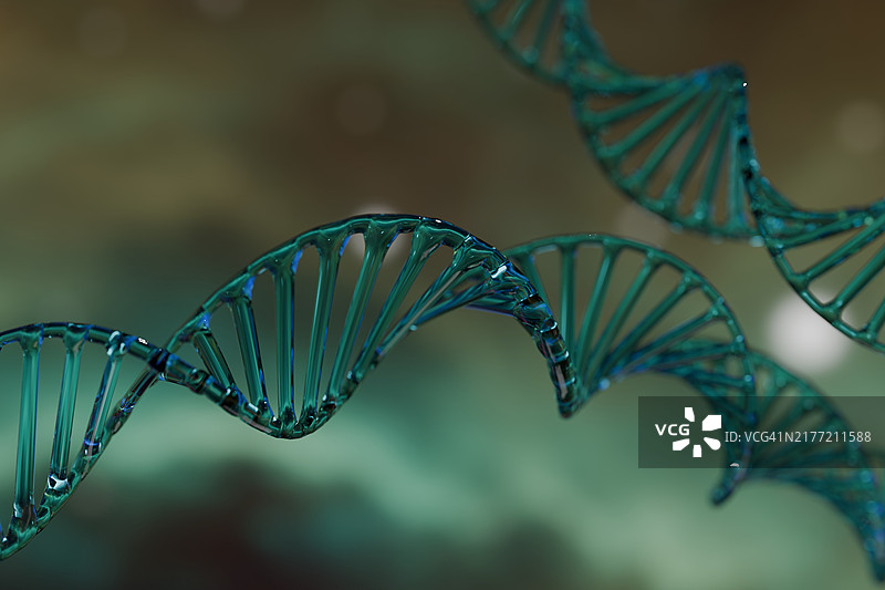 干净的半透明DNA模型图像（绿棕色）图片素材