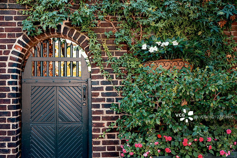 葡萄藤覆盖的砖墙花园入口图片素材