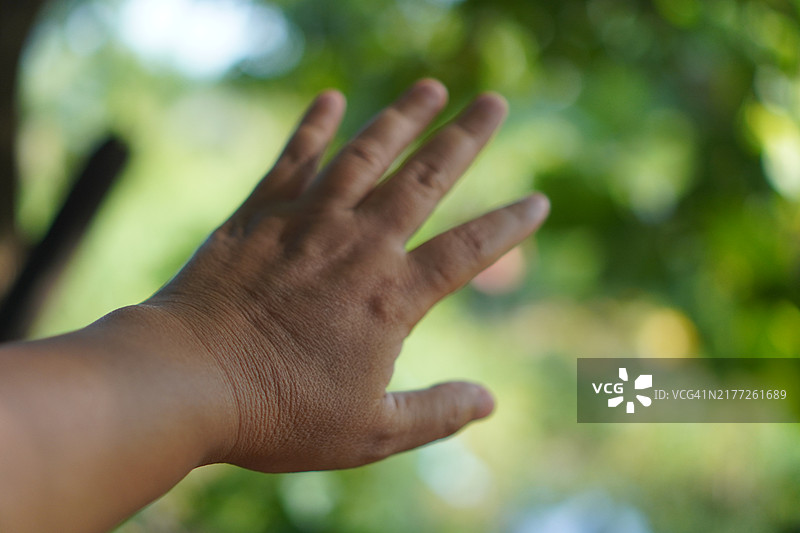 特写：亚洲女性的手展示数字五，手掌在后，在白色背景上复制空间符号语言图片素材