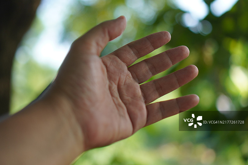 特写亚洲女性手掌向后展示五指，手臂和手的姿势在白色背景上，留有空白空间的符号语言图片素材