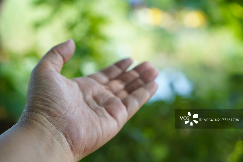 特写亚洲女性手掌向后展示五指，手臂和手的姿势在白色背景上，留有空白空间的符号语言图片素材