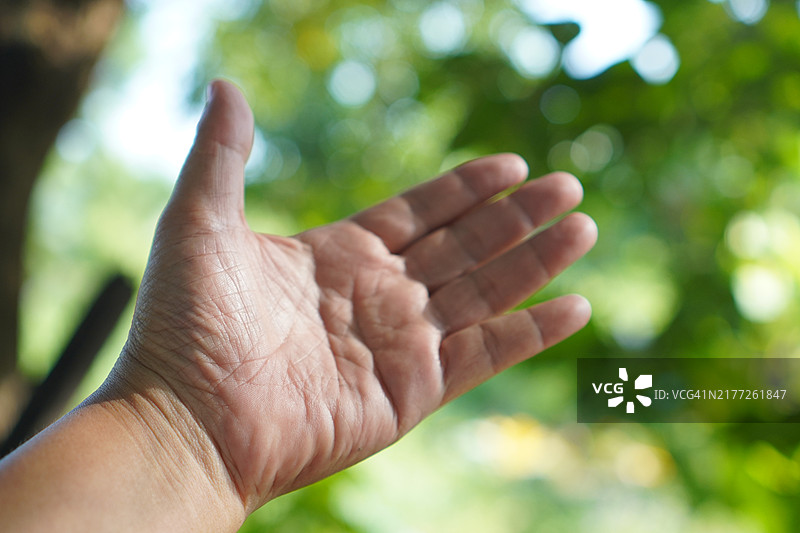 特写亚洲女性手掌展示五指，手掌向后，手臂和手的姿势，背景为白色，留有空白空间，象征语言。图片素材