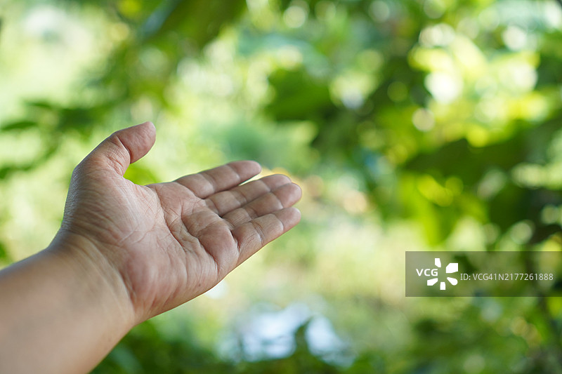 特写亚洲女性手掌展示五指，手掌向后，手臂和手的姿势，背景为白色，留有空白空间，象征性语言。图片素材