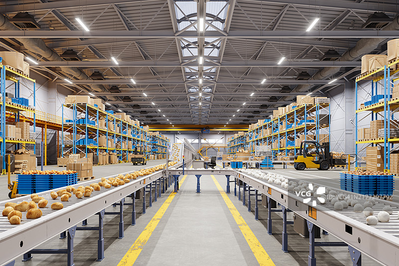 工厂生产线上土豆和洋葱的特写图片素材