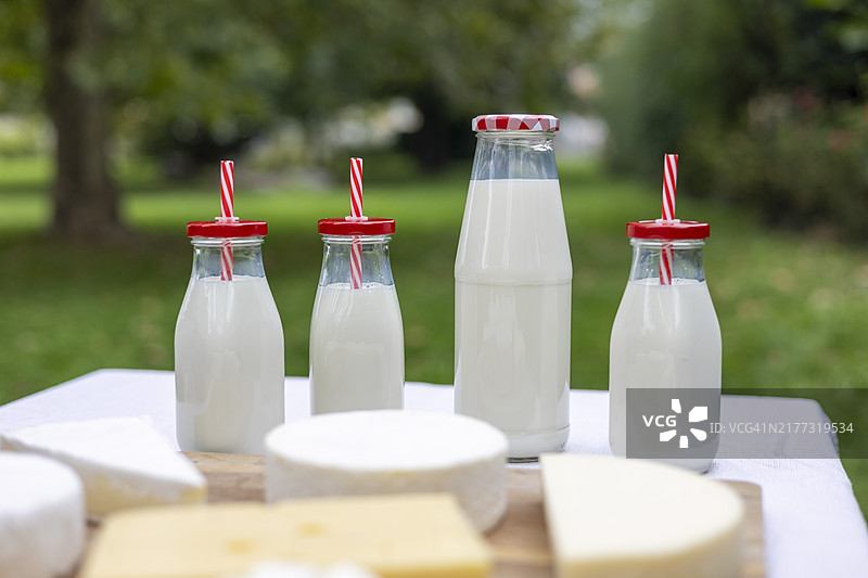 野餐桌上的牛奶瓶和奶酪板。图片素材