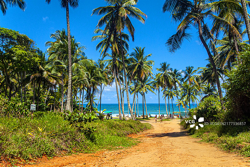 巴西巴伊亚州伊塔卡雷孔查海滩全景图片素材
