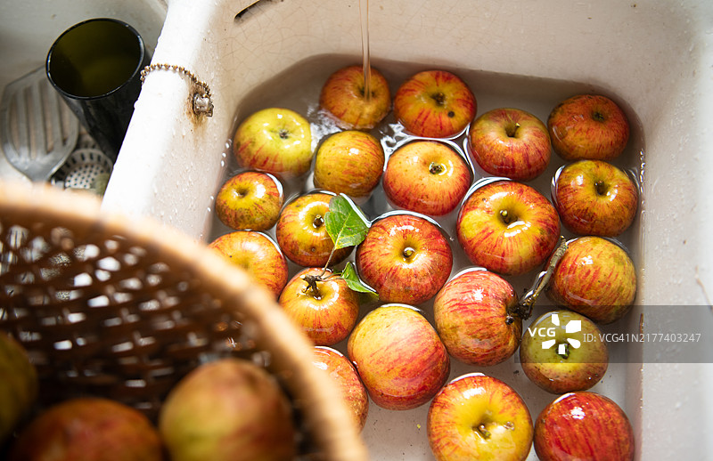 水槽中清洗新鲜采摘的苹果图片素材