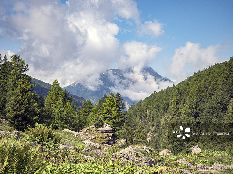 山脉和绿色森林的景观图片素材
