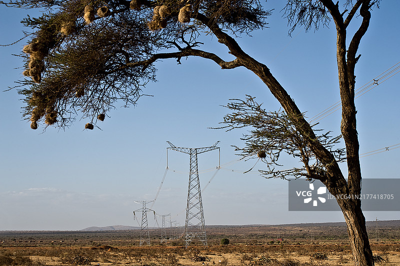 非洲的高压线路图片素材