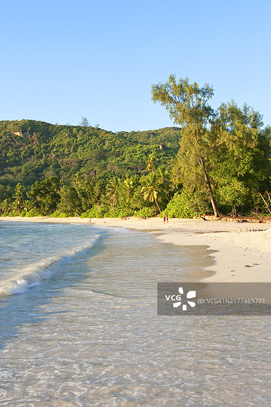 塞舌尔马埃岛，塔卡马卡海滩图片素材