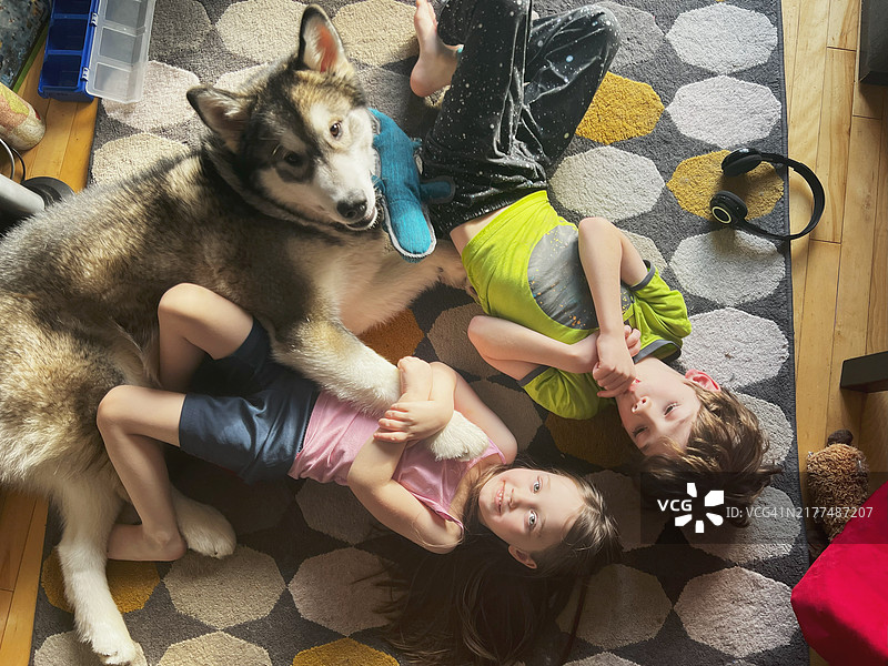 兄妹和他们的狗图片素材