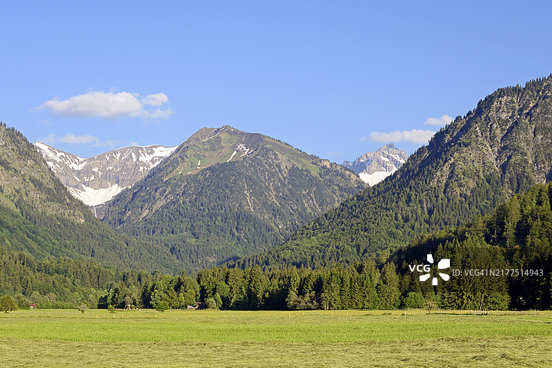 从洛雷托草甸眺望干草收割和里芬科夫山，上施特多夫，阿尔高阿尔卑斯山，巴伐利亚图片素材