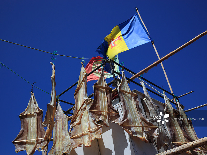 洛布斯镇的鱼干，马德拉图片素材