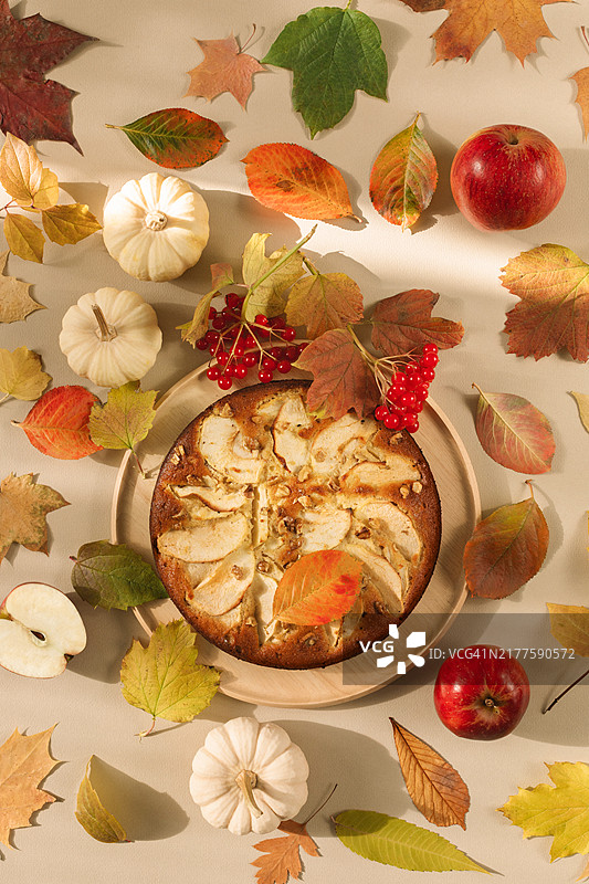 自制苹果派俯视图，配有新鲜苹果、秋叶、荚蒾树枝和白色装饰南瓜图片素材