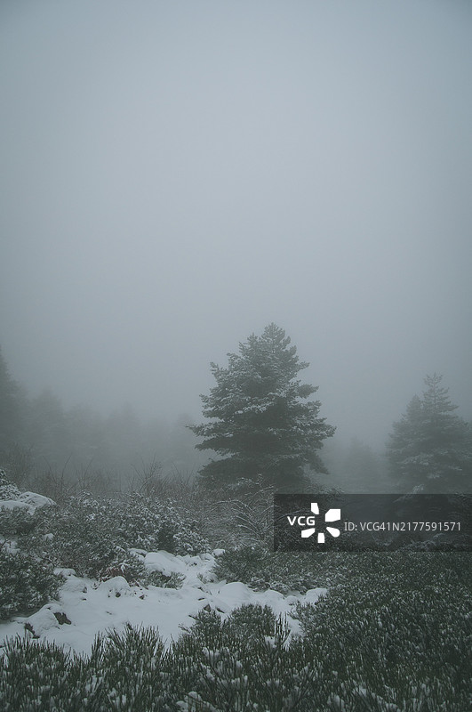 内瓦塞拉达雪景图片素材
