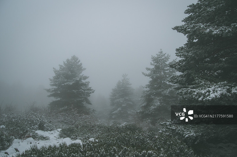 内瓦塞拉达雪景图片素材