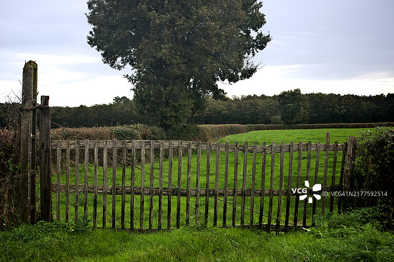 法国草甸入口图片素材