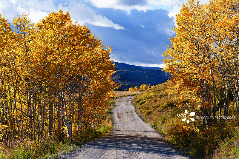 风景秀丽的山区白杨林中的泥土乡村道路图片素材