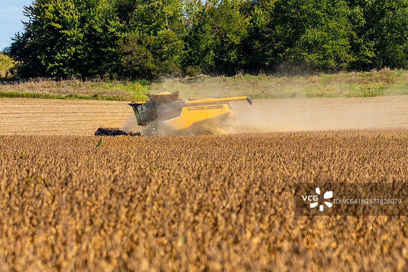 玉米作物秋收图片素材