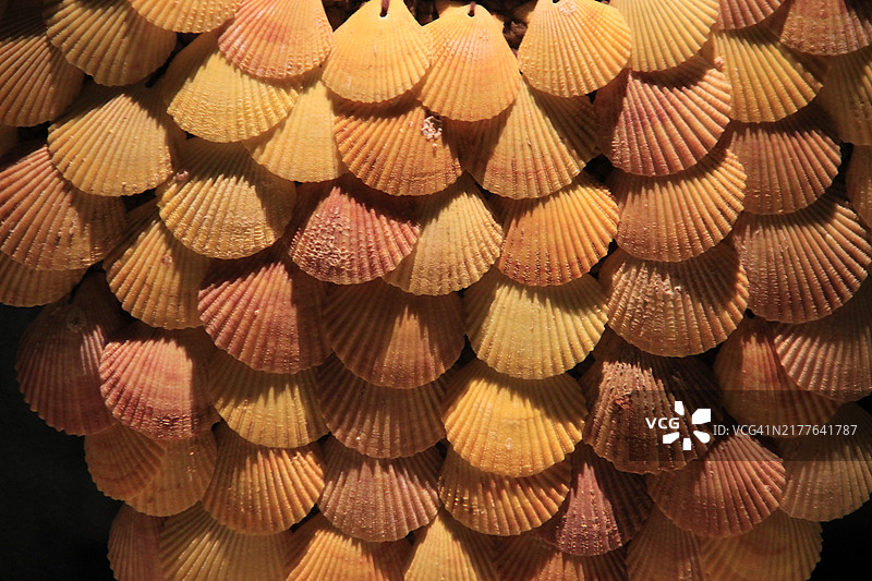 黄色贝壳串联表面图片素材