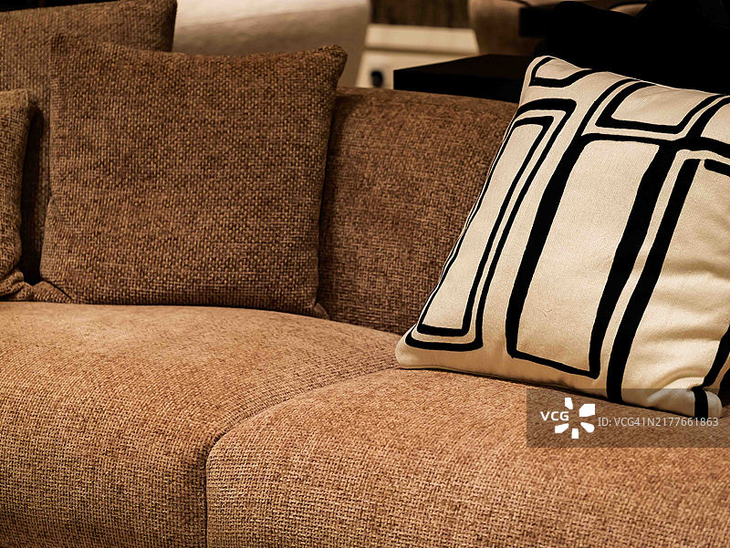 迪拜 - 舒适的客厅场景，配有豪华沙发、毯子和枕头，周围点缀着天然植物图片素材