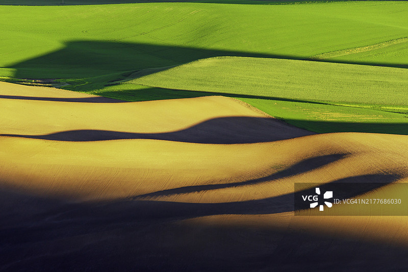 华盛顿州帕卢斯地区小麦田的抽象波浪状图案和阴影，日落时从高空俯瞰图片素材