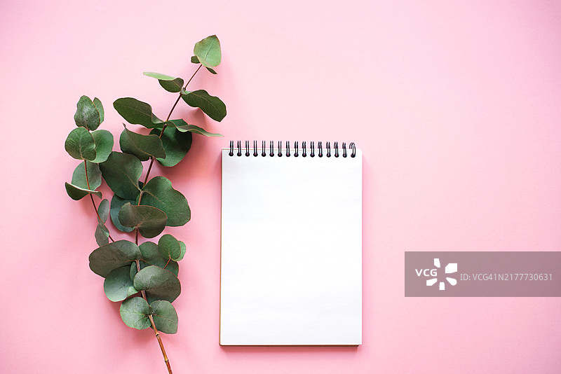 粉色背景上带有鲜花的记事本图片素材
