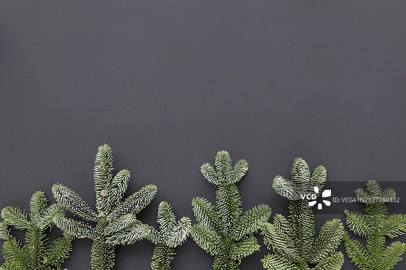 松枝和红色哑光及闪光的圣诞树球在红色背景上。留白处可添加文字。俯视图。平铺展示。圣诞装饰。新年贺卡。极简风格图片素材