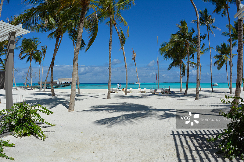 度假胜地的热带海滩图片素材