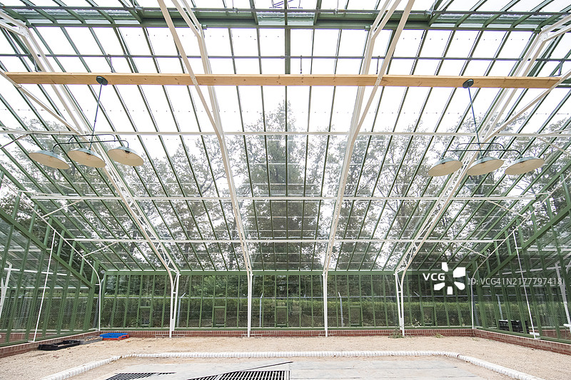 空荡荡的温室，荷兰图片素材