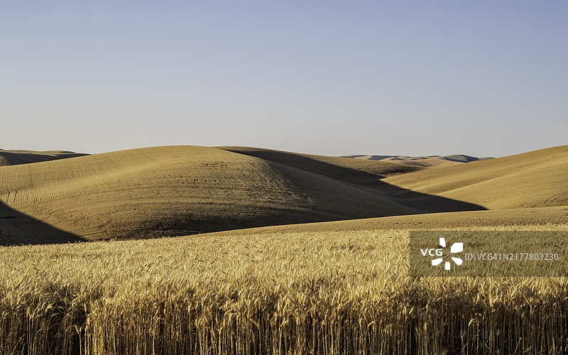 美国清澈天空下的田野美景图片素材