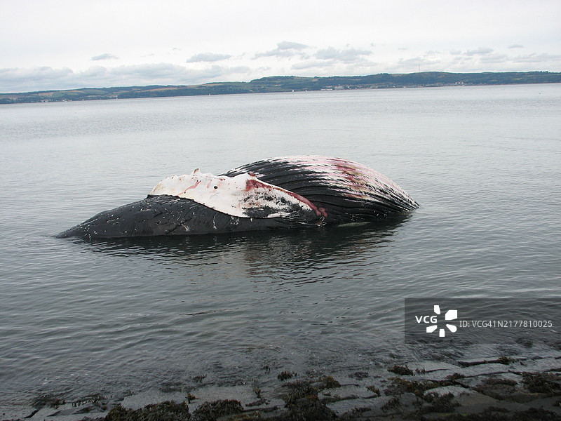 海洋与天空的美丽景色图片素材