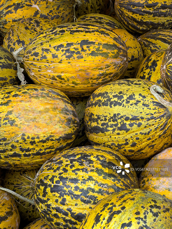 市场上出售的南瓜全景照片，土耳其图片素材