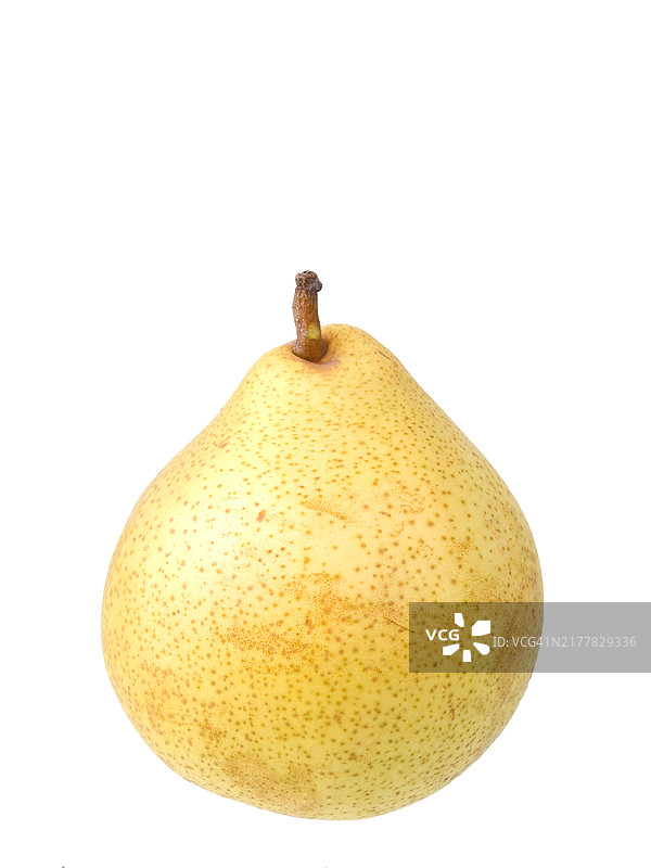 克拉拉·弗里斯梨品种图片素材