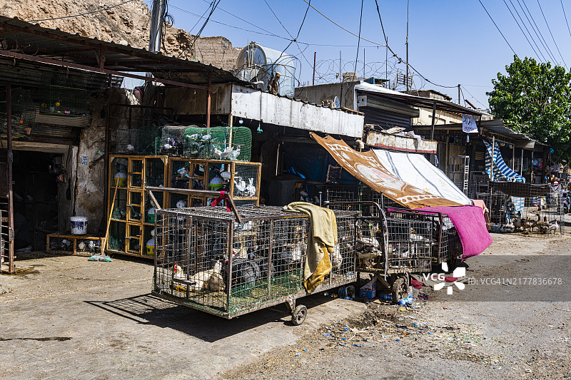 伊拉克基尔库克城堡下的鸟市，亚洲图片素材