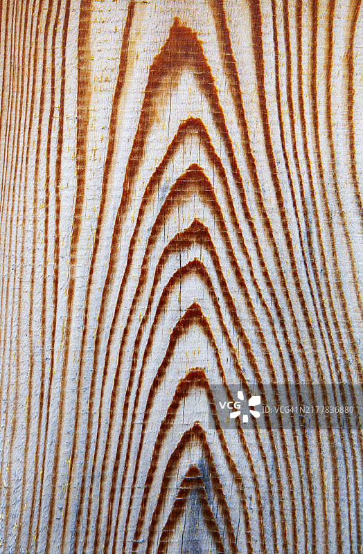 木板的木质结构截面图片素材