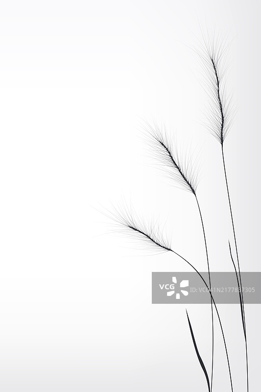 小麦成分图案矢量素材图片素材